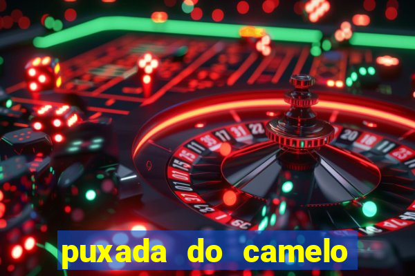 puxada do camelo no jogo do bicho